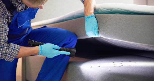 Best Best Pest Control Companies  in Soh Jordan, UT
