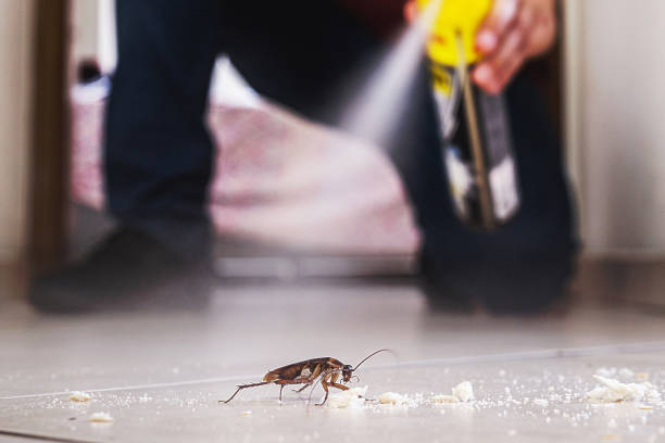 Pest Prevention Services in South Jordan, UT