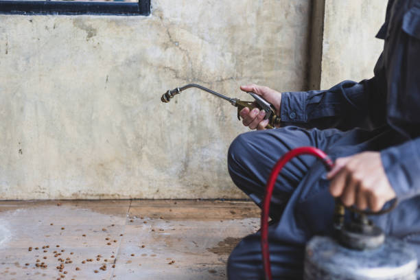 Best Pest Control Cost  in Soh Jordan, UT