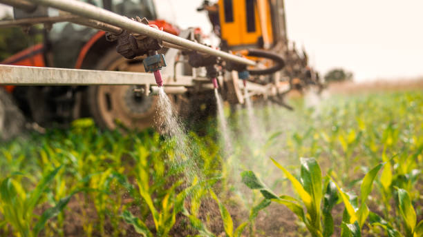 Best Pest Control for Businesses  in Soh Jordan, UT